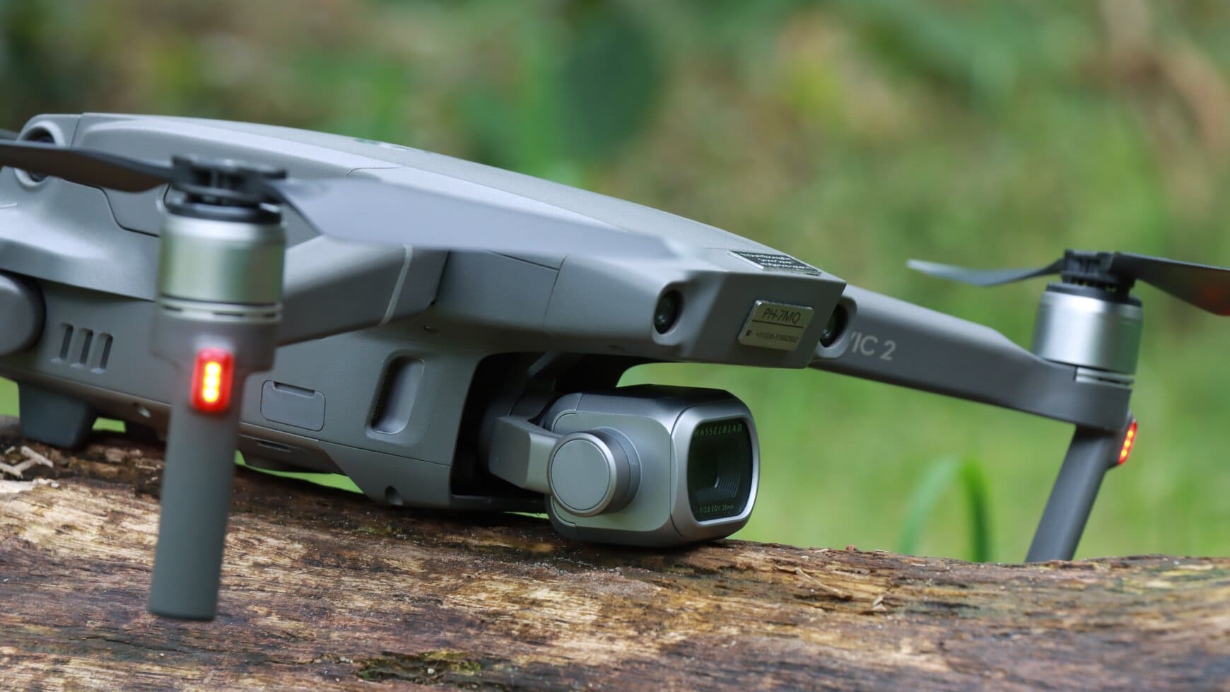 drone op boomstam nat en vochtig